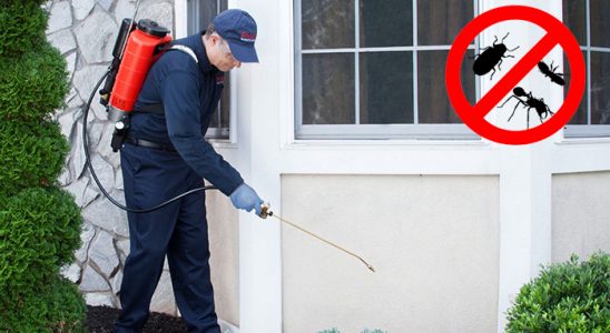 Alaca Tahtakurusu İlaçlama böcek ilaçlama ve haşere kontrolü — ilaclama-tr.com